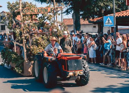 50PTP - Tradicionalna povorka; Vir: Leila Bizjak, Visit Kras.jpg